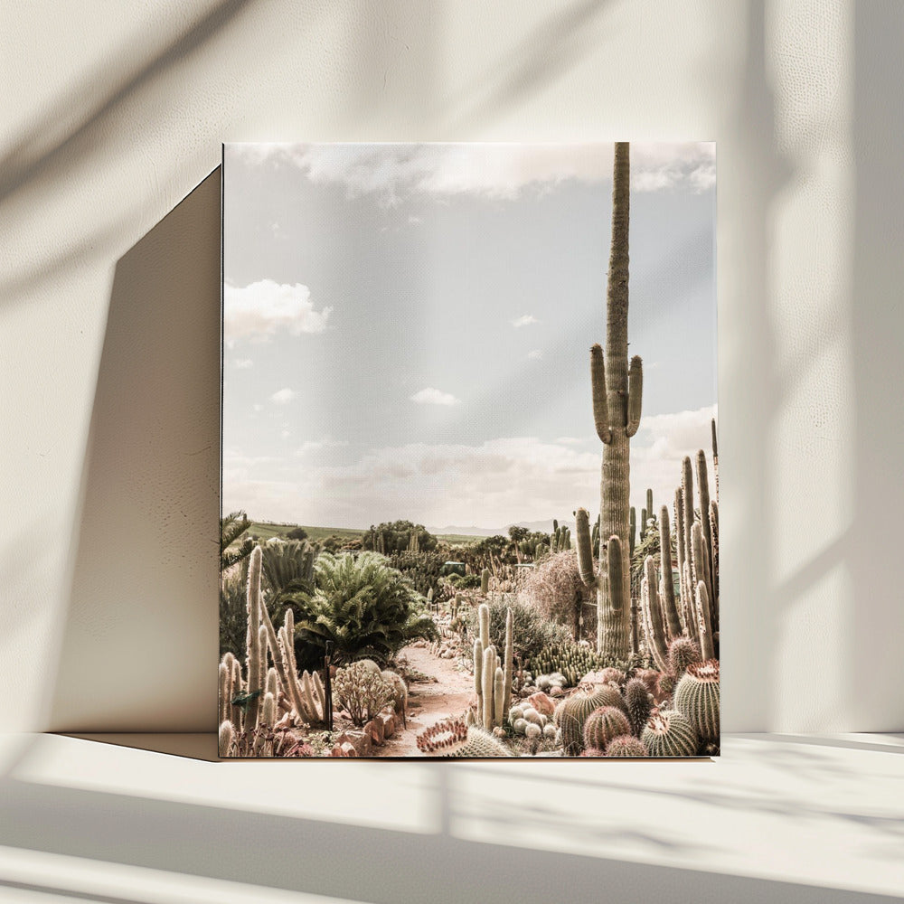 Cactusboerderij | Canvas
