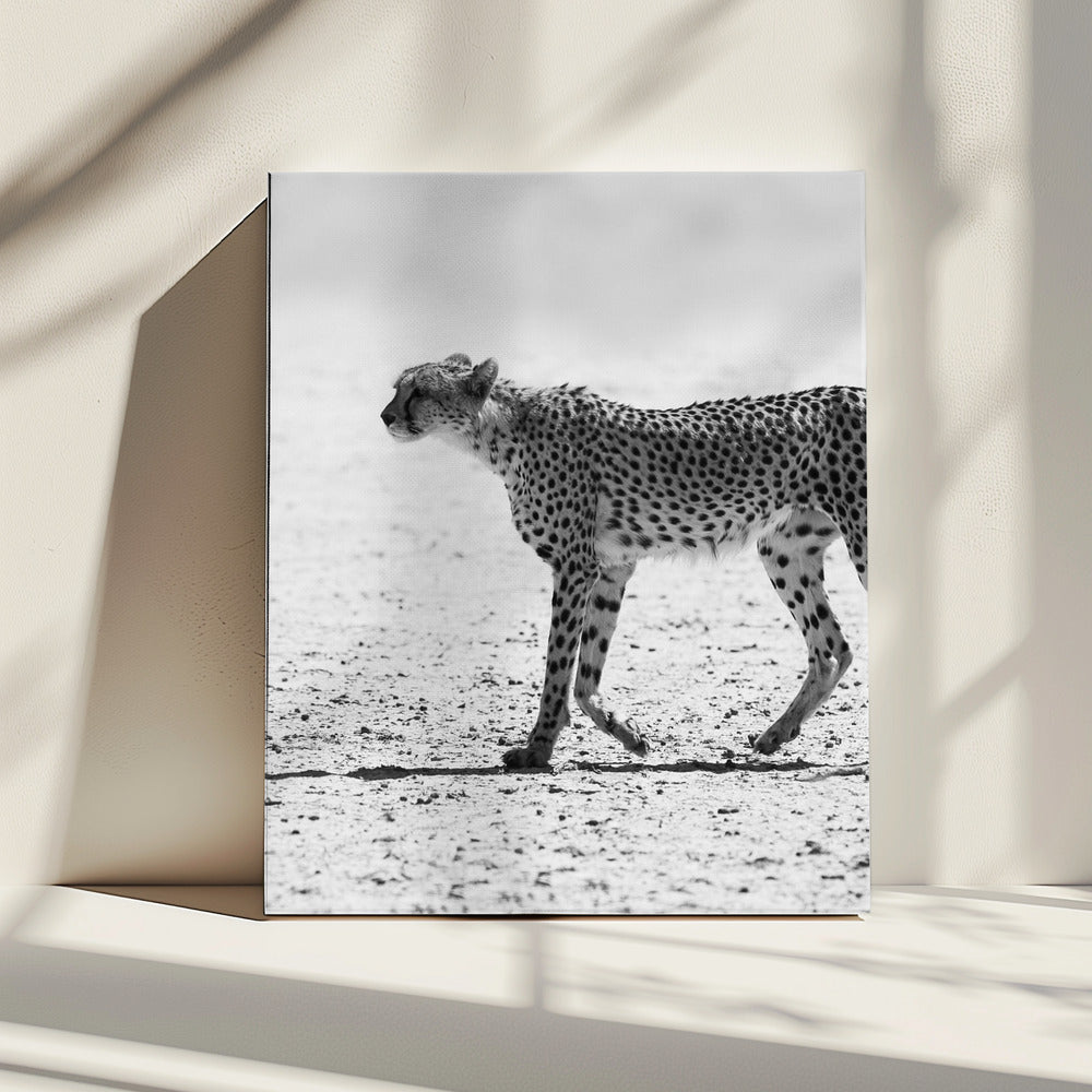 Stille Achtervolging | Canvas
