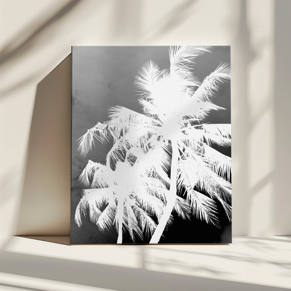 Inverted Palms | Canvas