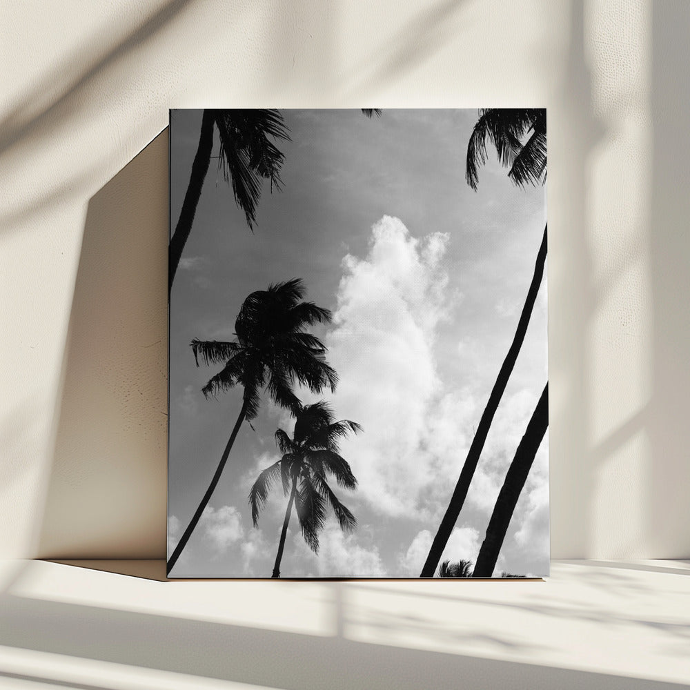 Silhouetten van palmen | Canvas