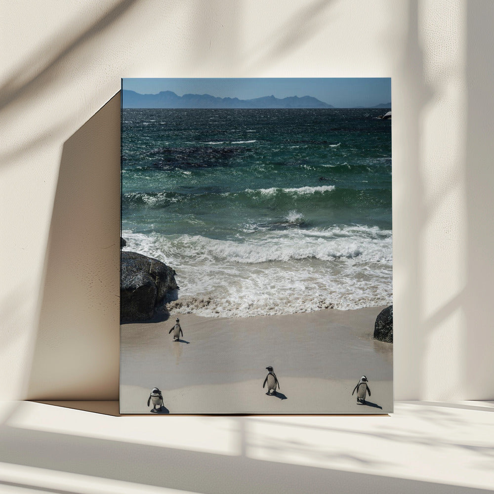Pinguïn strandwandeling | Canvas