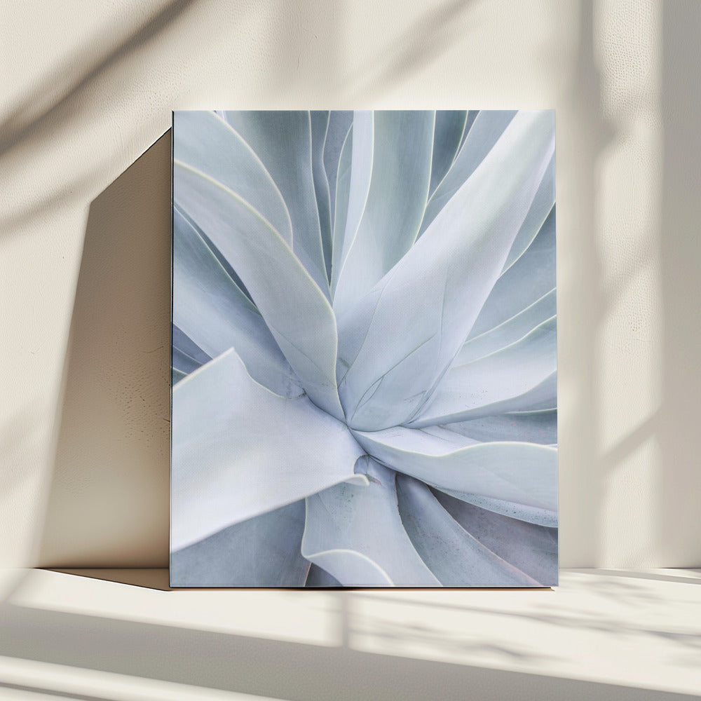 Zilveren succulente werveling | Canvas