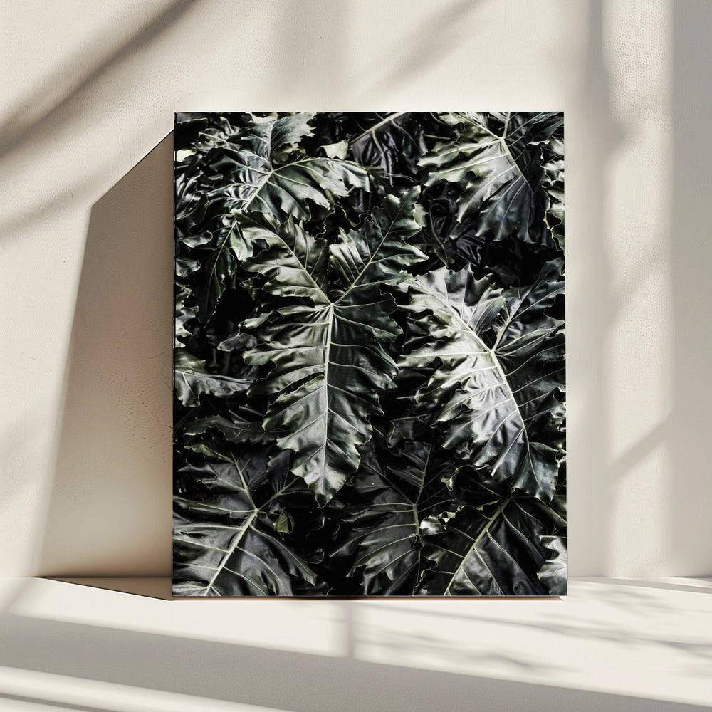 Weelderige bladsymfonie | Canvas