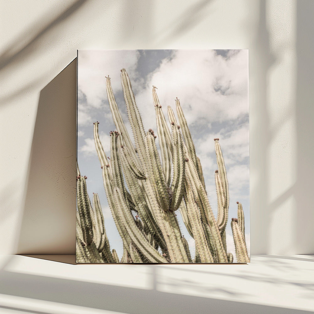 Woestijnwachters | Canvas
