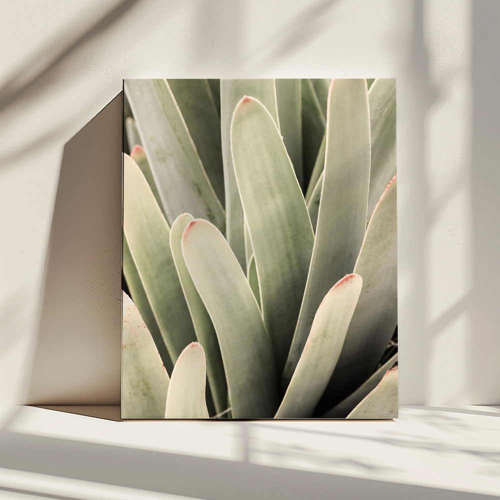 Sappige symfonie | Canvas