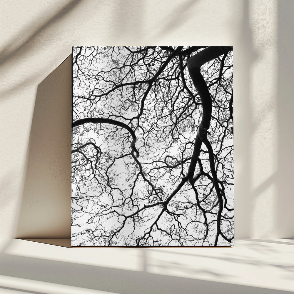 Dans van de takken | Canvas