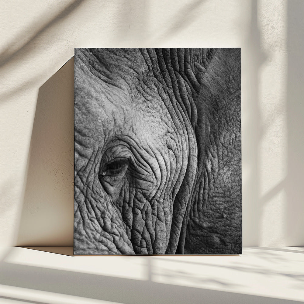 Rimpels van de wijsheid | Canvas
