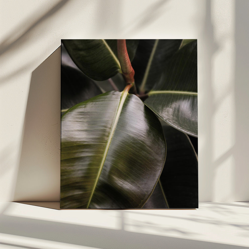Glanzende blad elegantie | Canvas