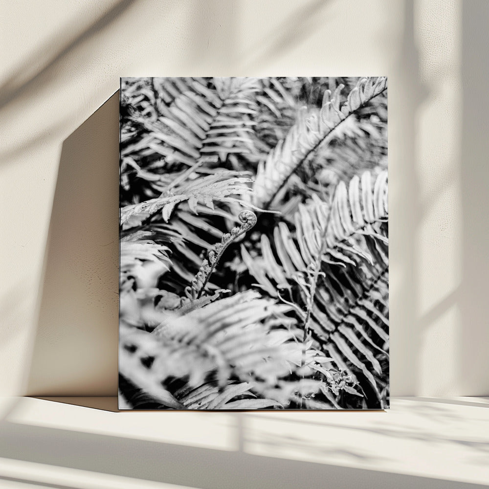 Fluisterende Varens | Canvas