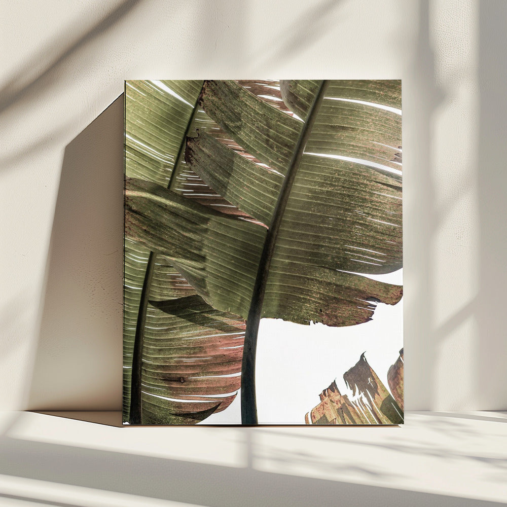 Tropische sereniteit | Canvas