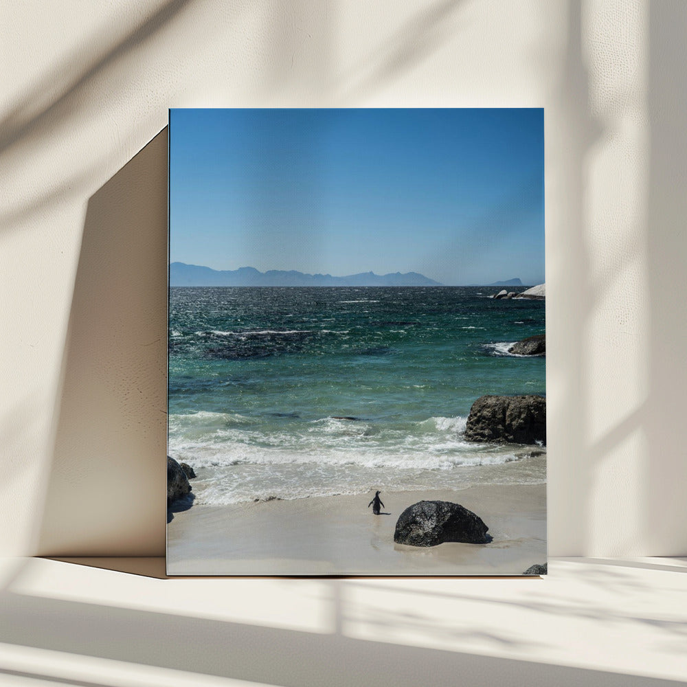 Pinguïnstrandwandeling | Canvas