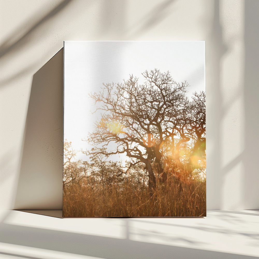 Zonovergoten silhouet | Canvas