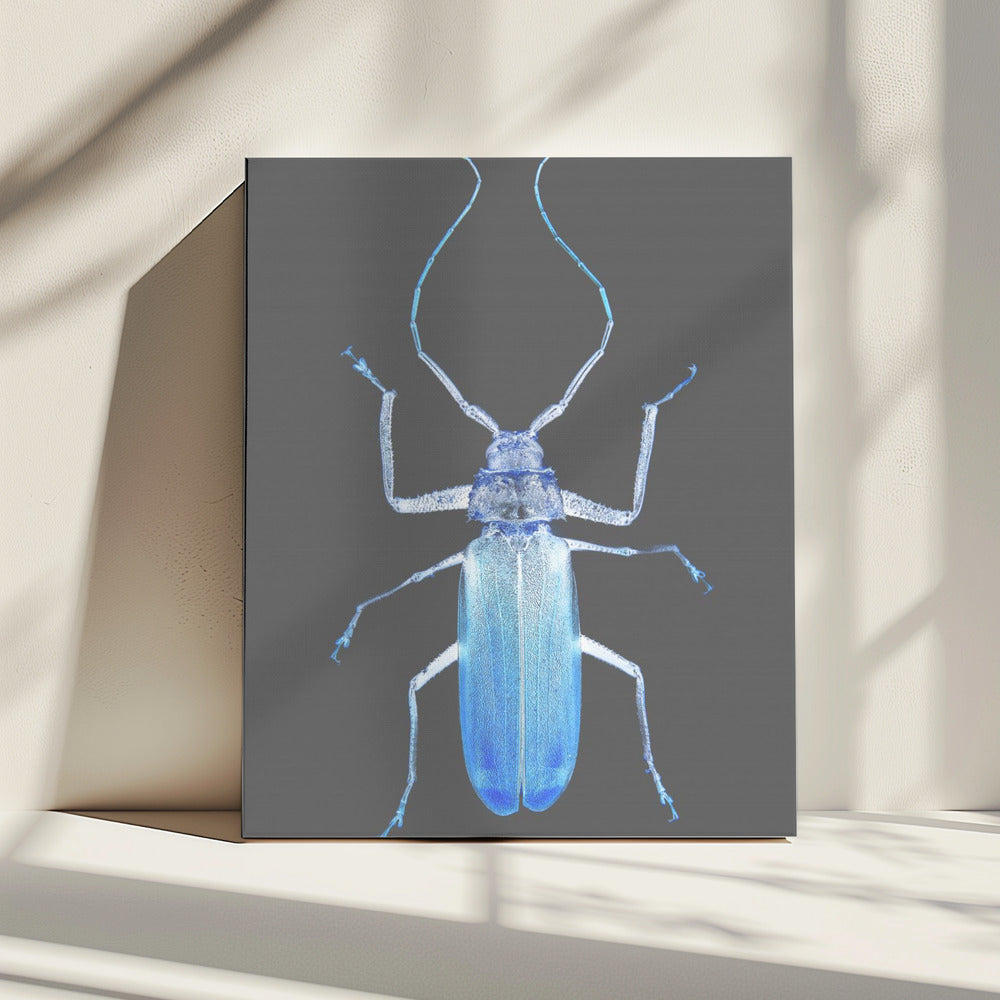 Neon Kever Elegantie | Canvas
