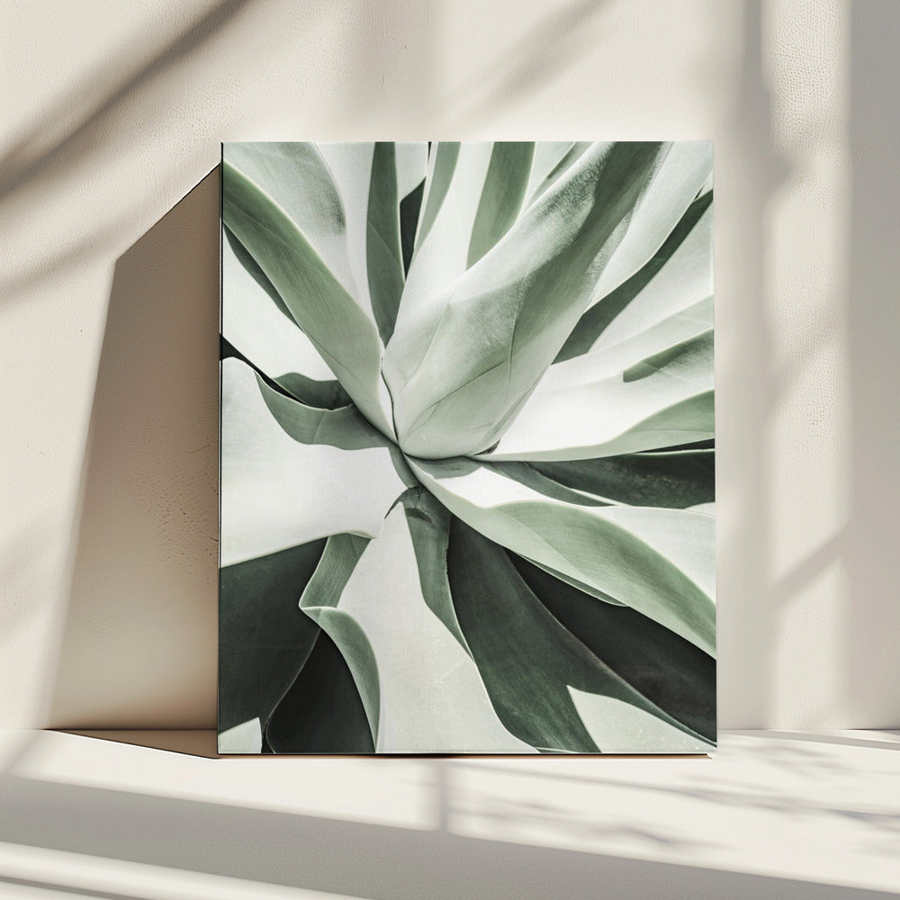 Sappige Harmonie | Canvas