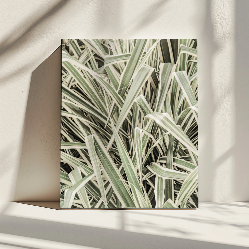 Groene strepen | Canvas