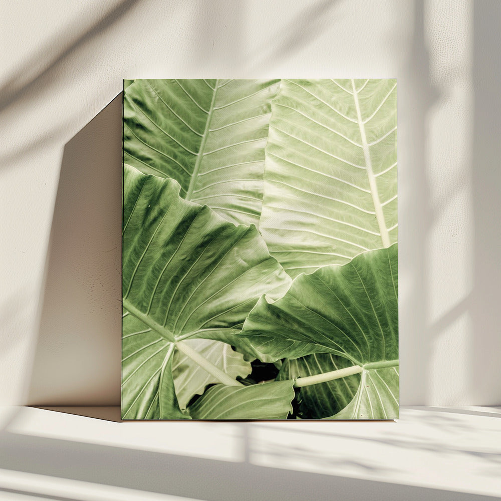 Groen gebladerte | Canvas