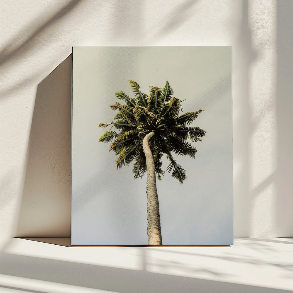 Torenhoge Palm Bliss | Canvas