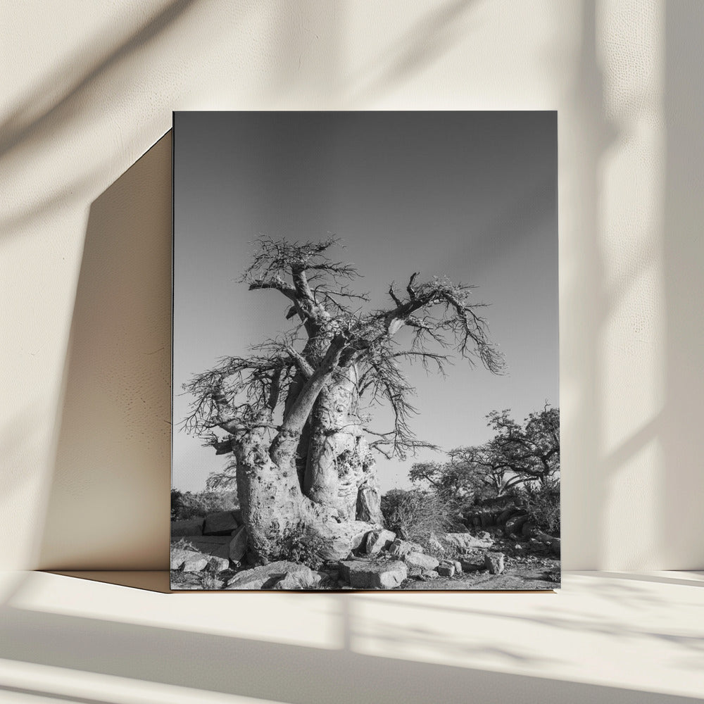 Oude Schildwacht | Canvas