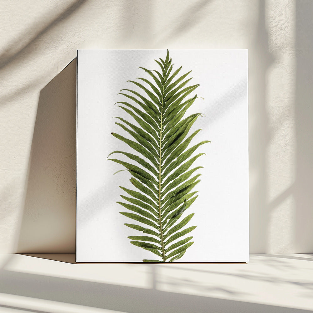 Varen Elegantie | Canvas