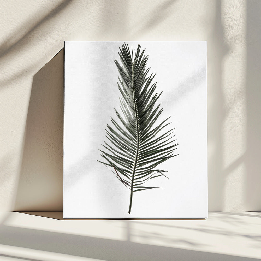 Gevederde Varen | Canvas