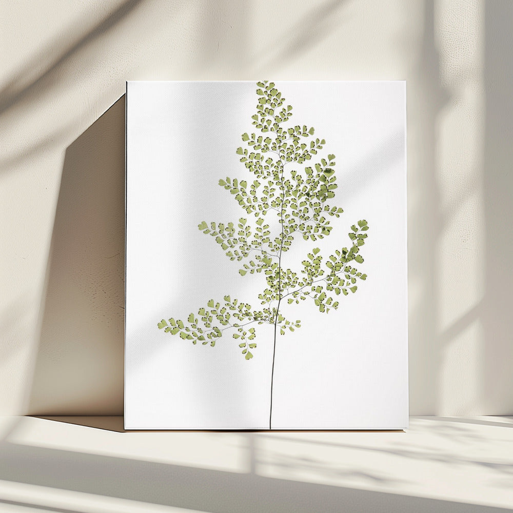 Varen Elegantie | Canvas