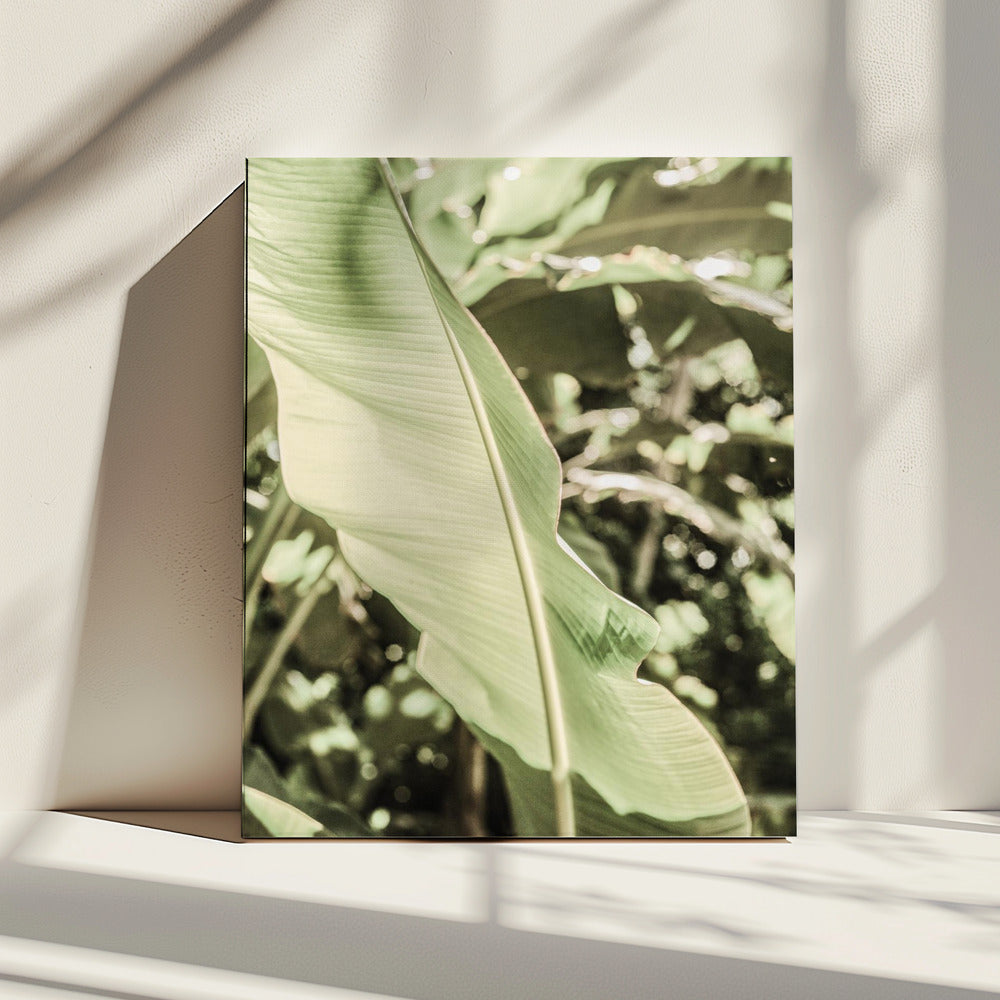 Smaragdgroen luifel | Canvas