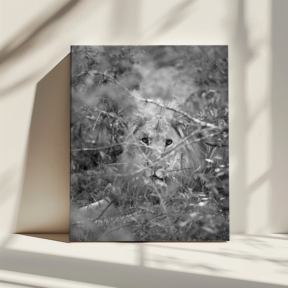 Verborgen Majesteit | Canvas