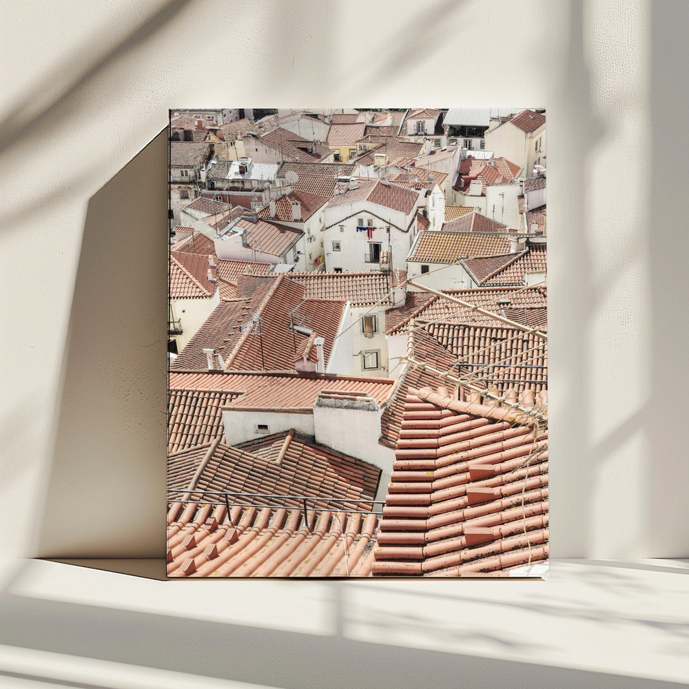 Terracotta daken | Canvas