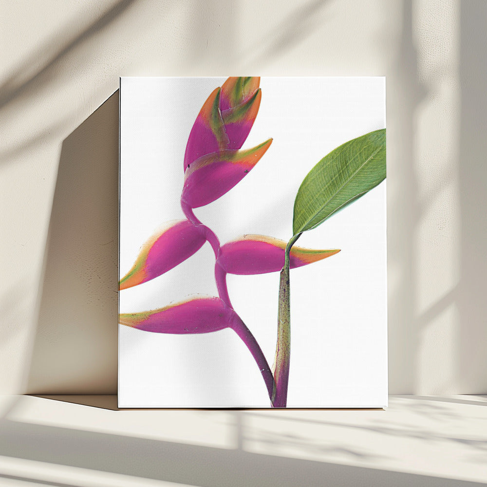 Tropische elegantie | Canvas