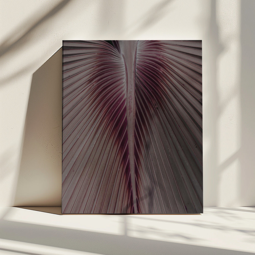 Karmozijnrode bladnerven | Canvas