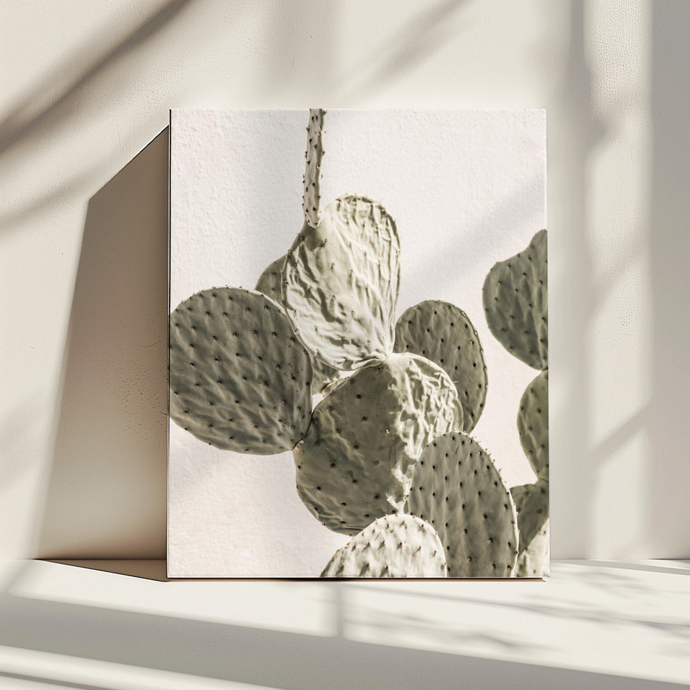 Stekelige elegantie | Canvas