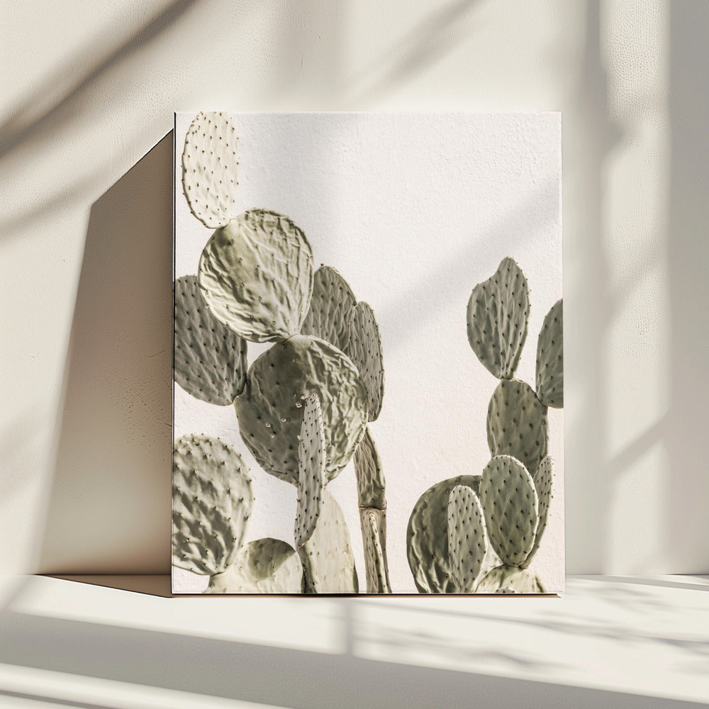 Cactus Sereniteit | Canvas