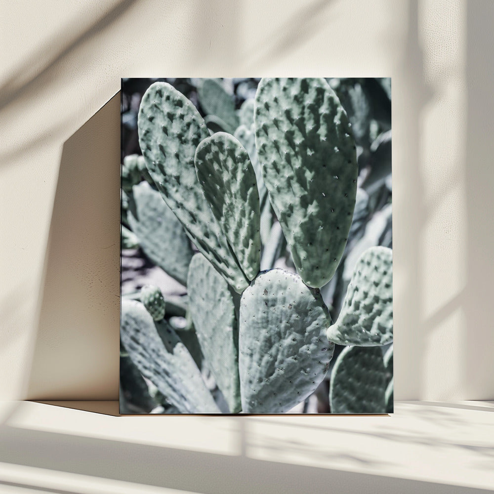 Woestijnsereniteit | Canvas