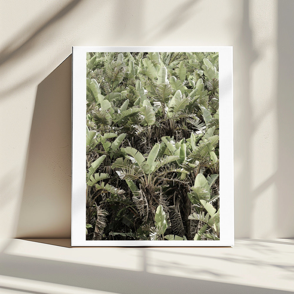 Groen bladerdak | Canvas