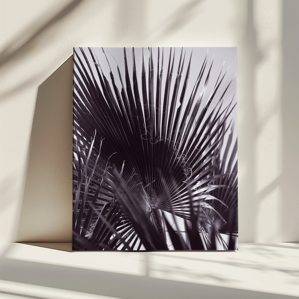 Palmgefluister | Canvas