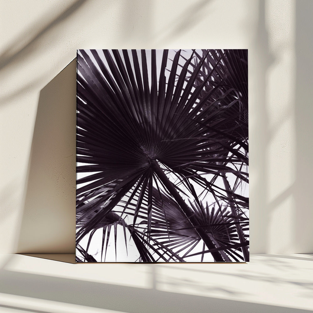 Palm silhouet | Canvas