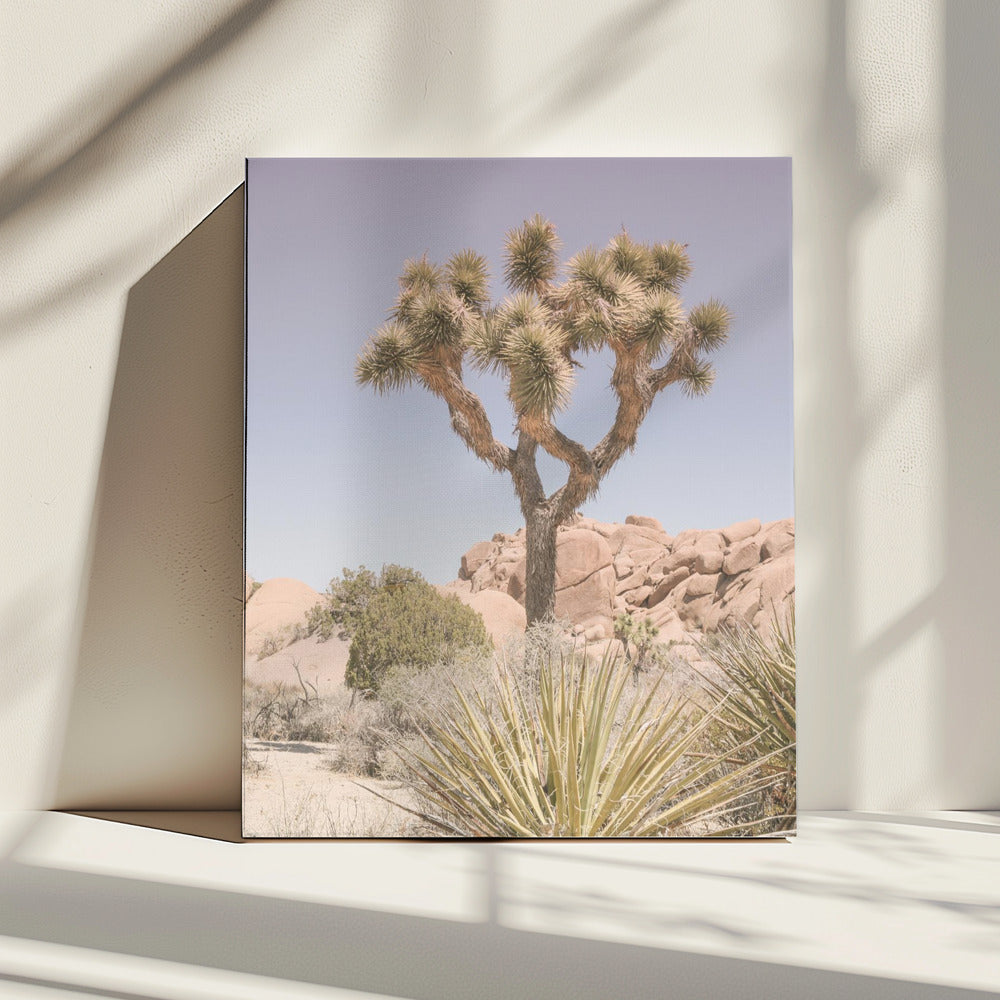 Woestijn Droomlandschap | Canvas