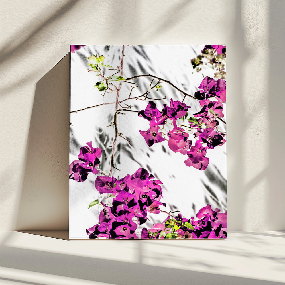 Levendige Bloemblaadjesdans | Canvas