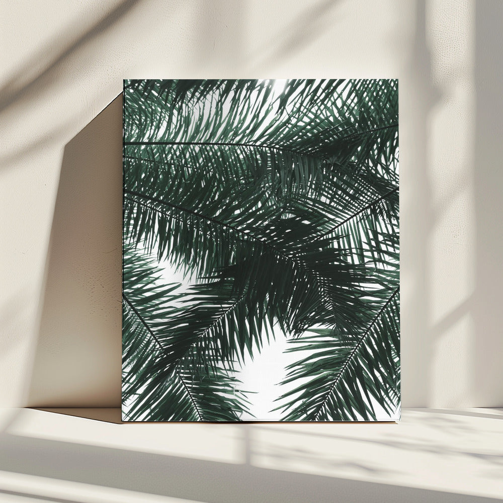 Zonovergoten palmenluifel | Canvas