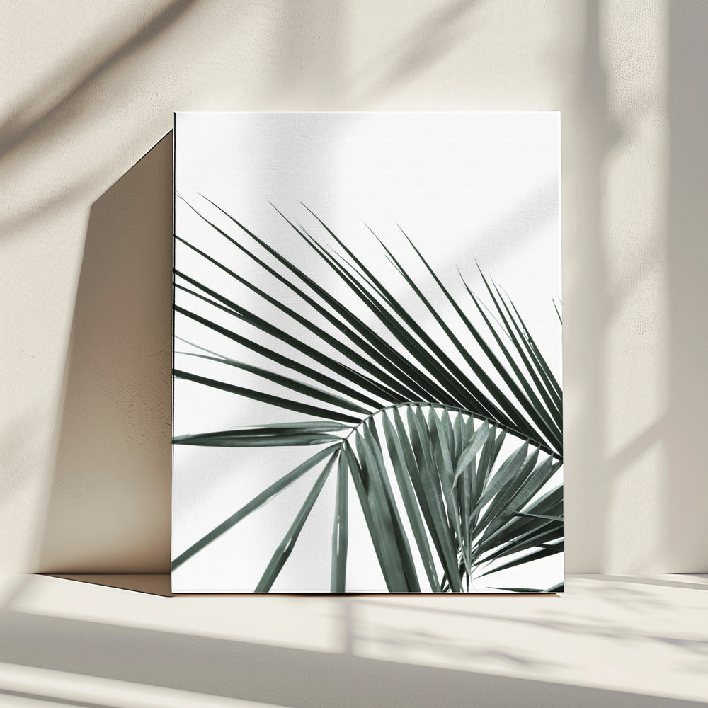 Tropische elegantie | Canvas