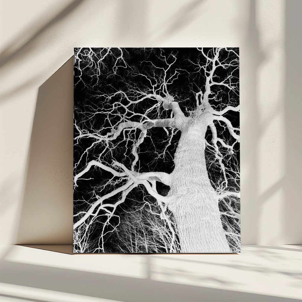 Omgekeerde Arbor Essence | Canvas