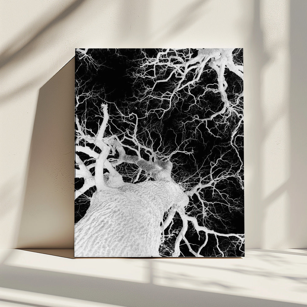Winter's Veins | Canvas