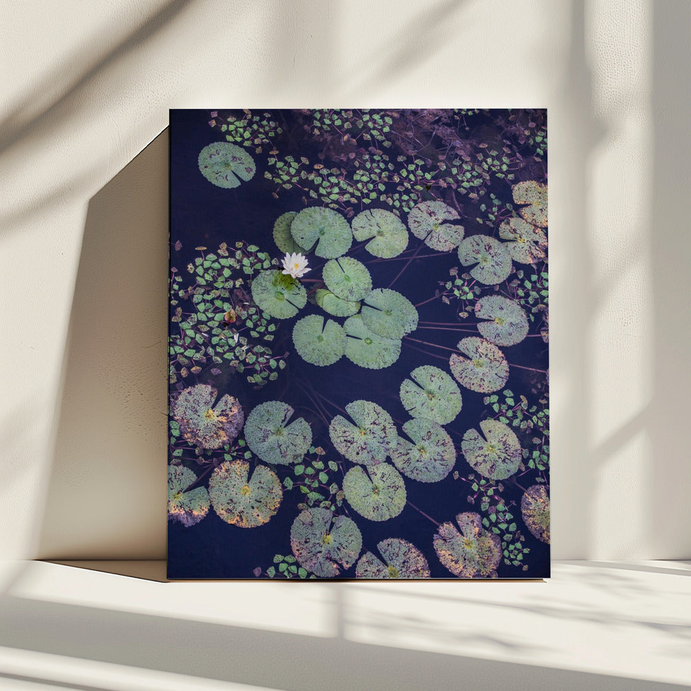 Lelie Sereniteit | Canvas