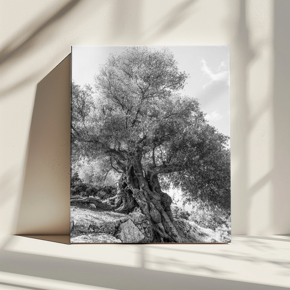 Oude Schildwacht | Canvas