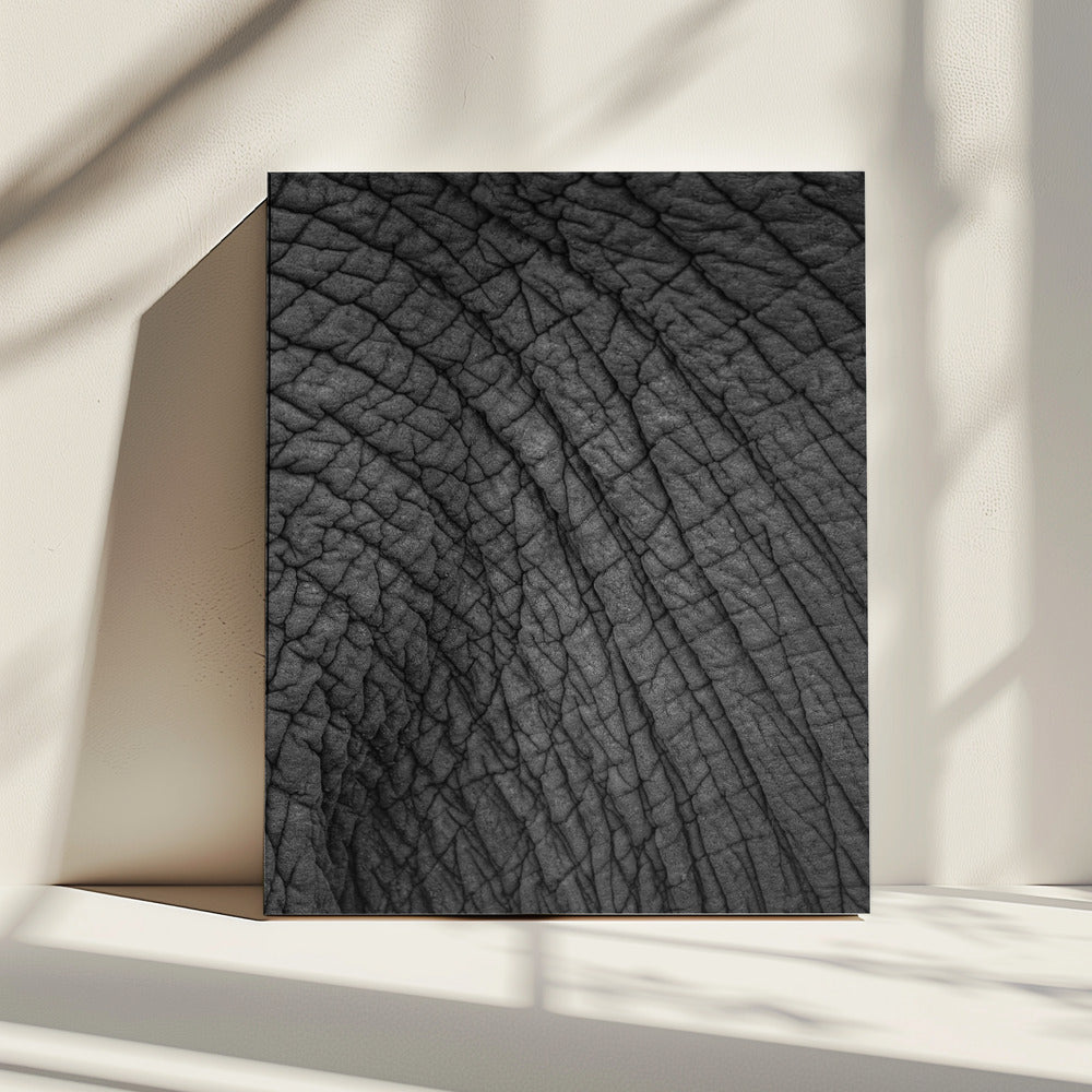 Olifantenwandtapijt | Canvas