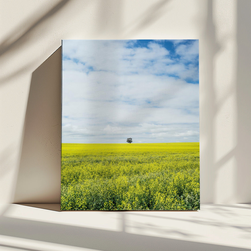 Eenzame boomhorizon | Canvas