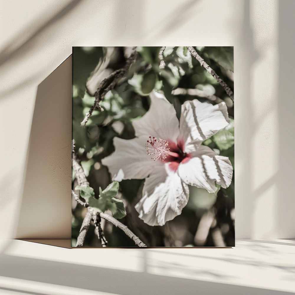 Fluisterende Bloesem | Canvas