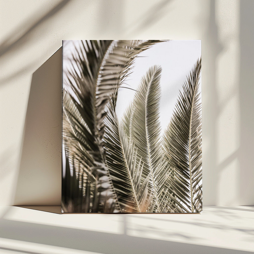 Fluisteringen van palmen | Canvas