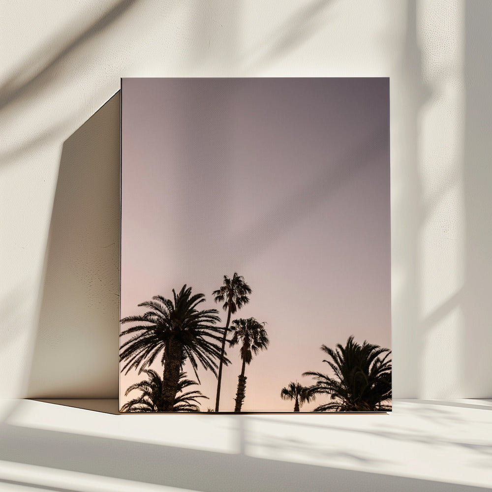Schemeringpalmen | Canvas