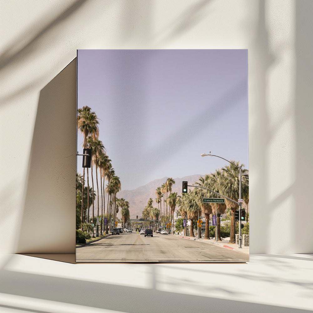 Laan met palmbomen | Canvas